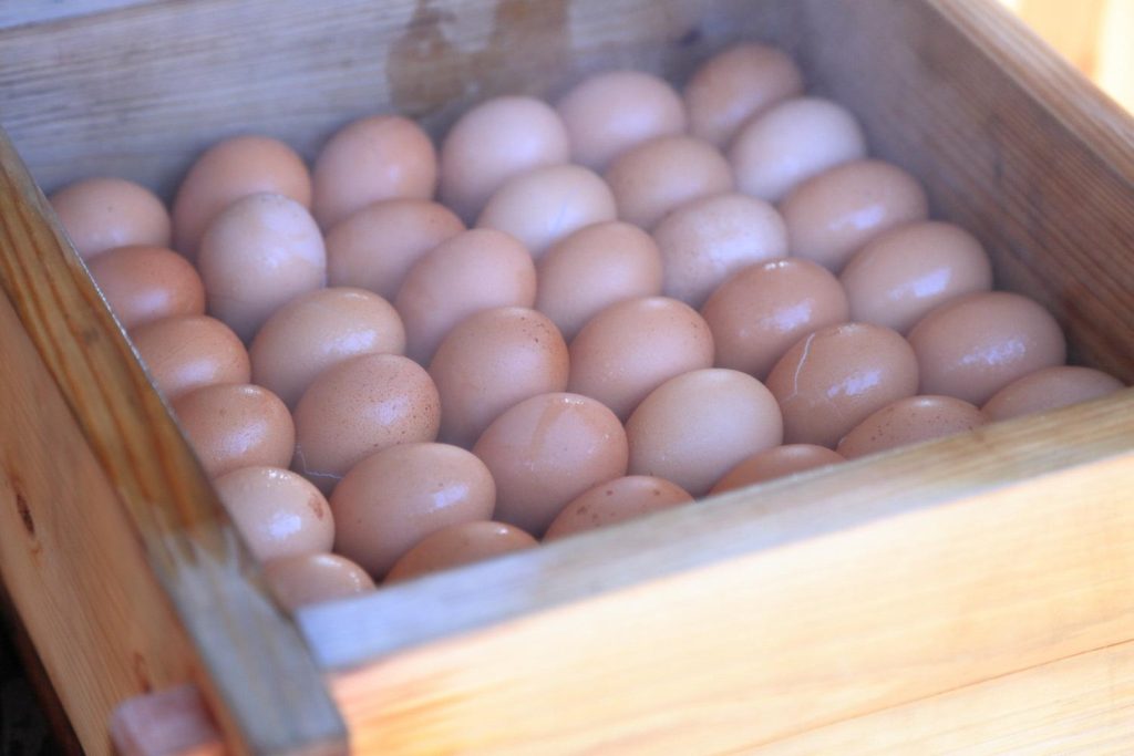 cook boiled eggs in onsen