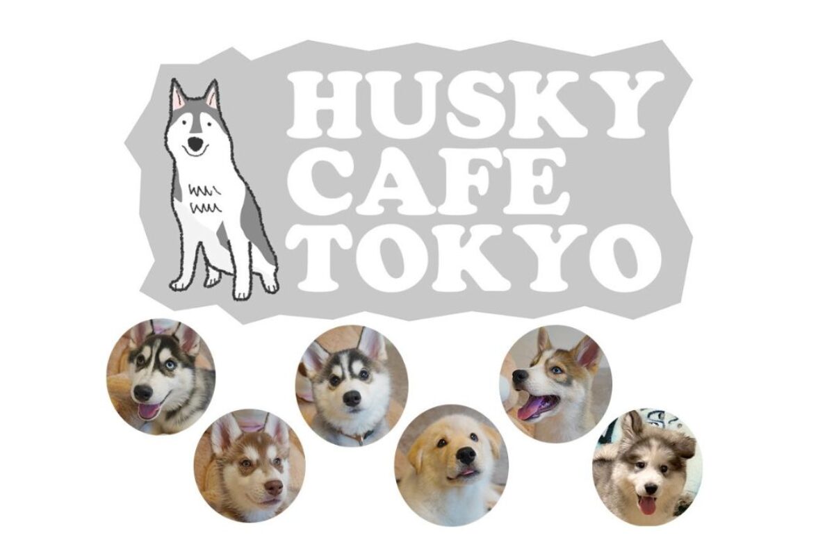 husky cafe tokyo