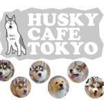 Animal Cafe in Japan