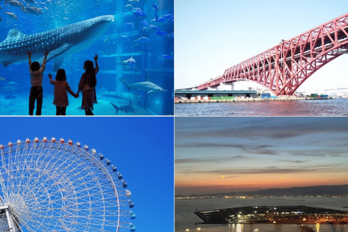 Cover-Attractions-Near-Expo-