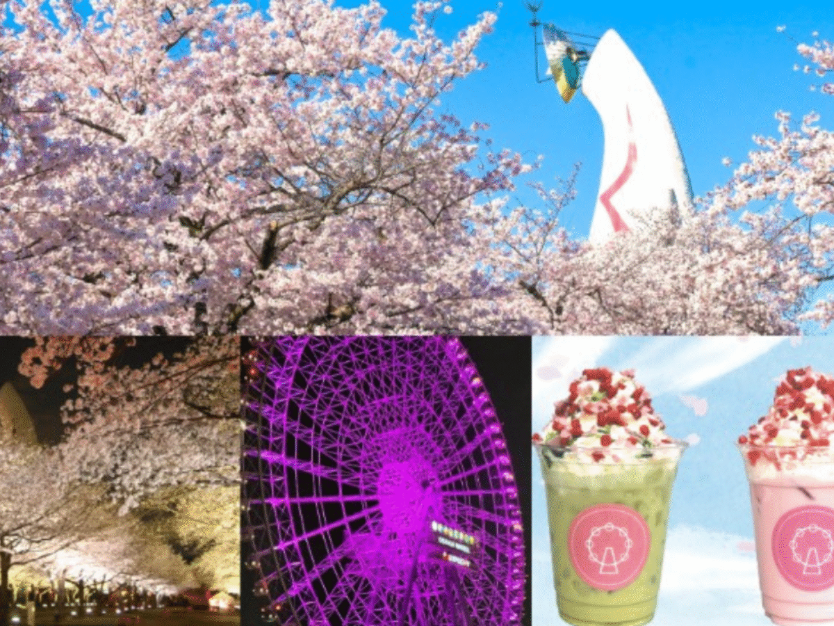 Cover-SAKURA-EXPO-2025-